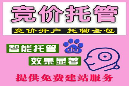 竞价托管服务案例分享：sem推广的魔力