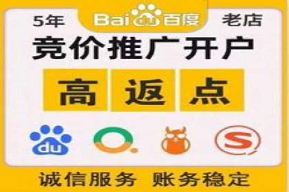关键词竞价排名案例解析与启示